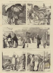 Das Treffen der Royal Agricultural Society in Wolverhampton